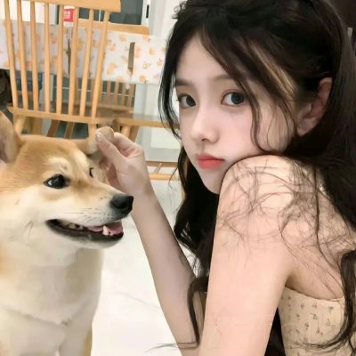 狗狗大展