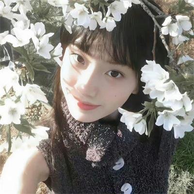 迎春的故事